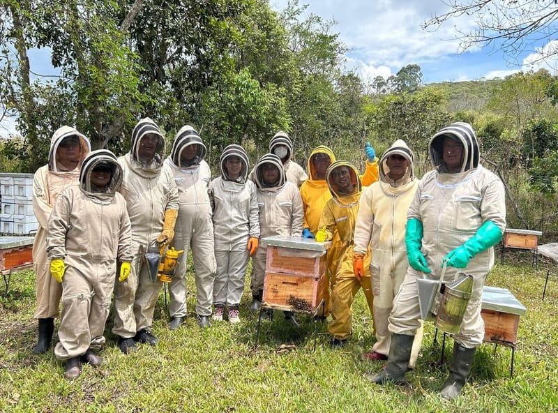 Programa Nespresso Plan en San Gil imagen de la publicación