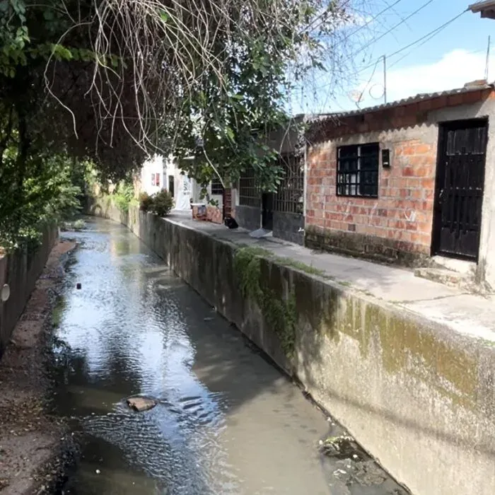 Barranca implementa recuperación ambiental del caño las Camelias imagen de la publicación