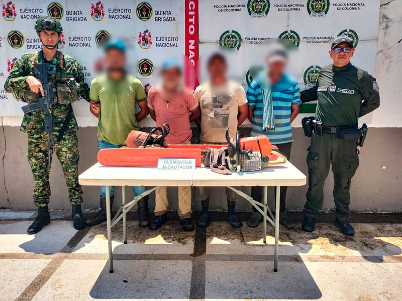 Capturan a cuatro personas por tala ilegal de árboles en zona rural de Sabana de Torres imagen de la publicación