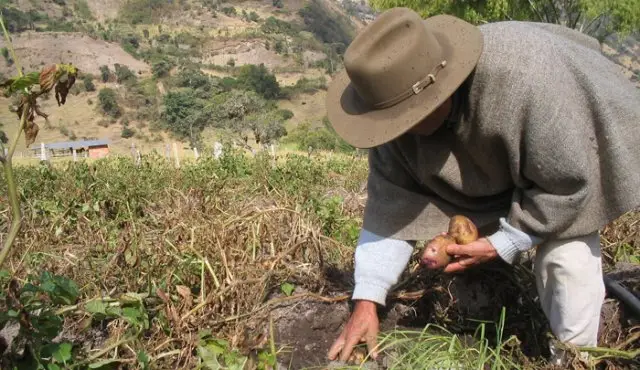 UIS y UNAL presentan proyecto para el desarrollo agrícola de Santander imagen de la publicación