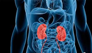 Enfermedad renal crónica en Colombia: una afección silenciosa que podría afectar a millones imagen de la publicación