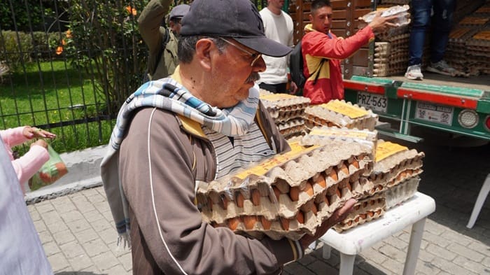 Ante el incremento de la oferta, gobierno inició compra masiva de huevos en todo el país imagen de la publicación