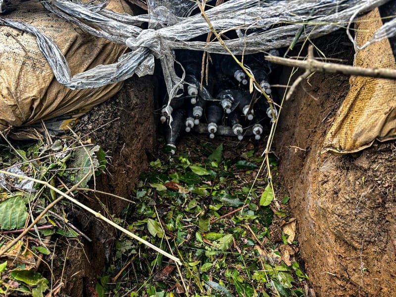 Golpe contundente al ELN en la región del Catatumbo imagen de la publicación