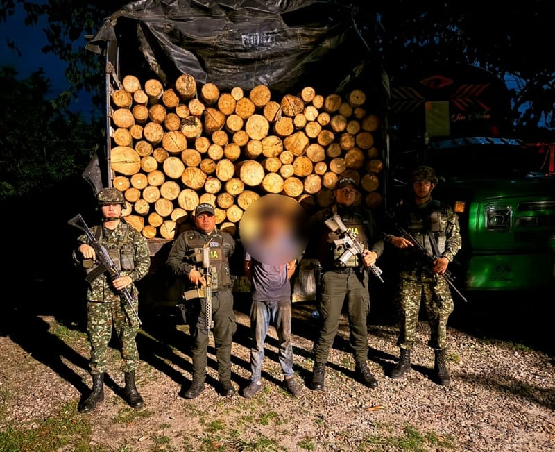 Golpe a la deforestación en Santander: cayó hombre con cargamento ilegal de madera en Sabana de Torres imagen de la publicación