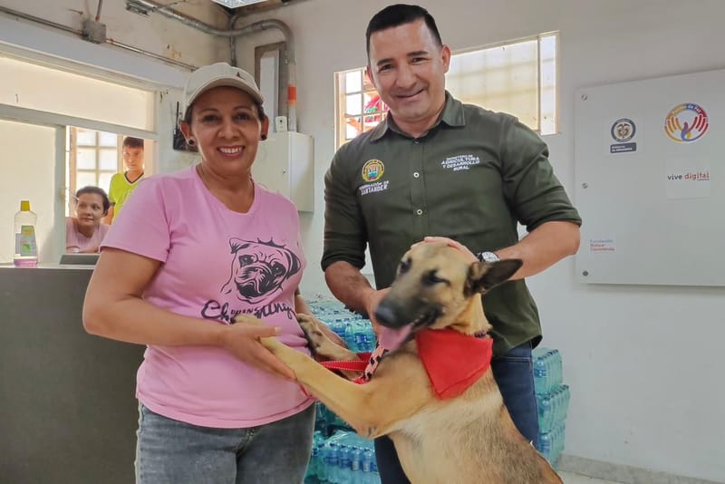 Programa de Bienestar Animal avanza con éxito en Santander imagen de la publicación